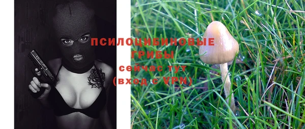 экстази Ладушкин