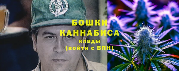 бошки Лагань