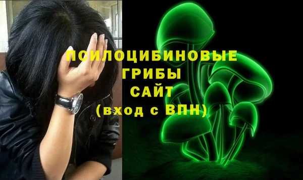 прущие грибы Лихославль