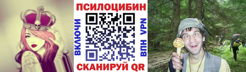 Галлюциногенные грибы прущие грибы  сколько стоит  Лукоянов 